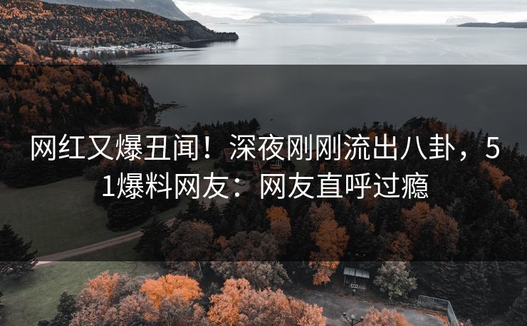 网红又爆丑闻！深夜刚刚流出八卦，51爆料网友：网友直呼过瘾