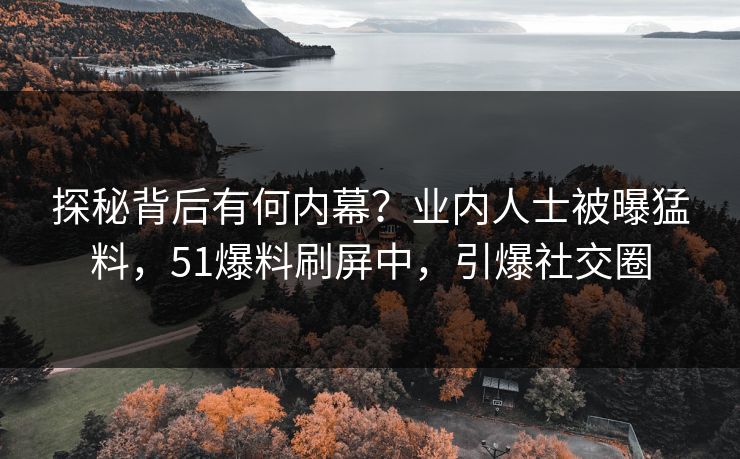 探秘背后有何内幕？业内人士被曝猛料，51爆料刷屏中，引爆社交圈