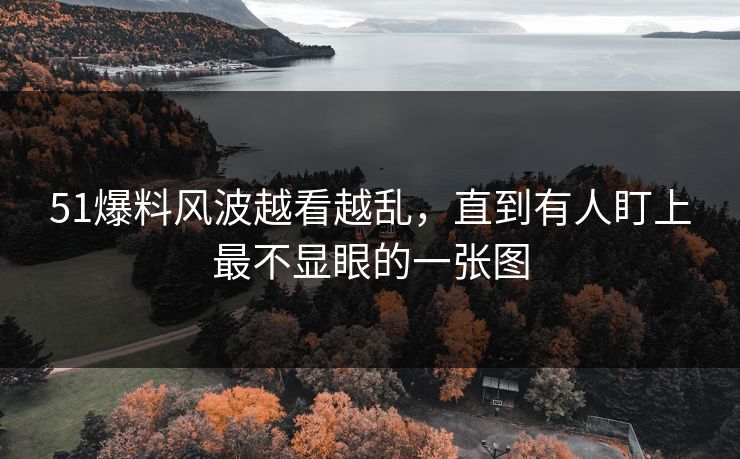 51爆料风波越看越乱，直到有人盯上最不显眼的一张图