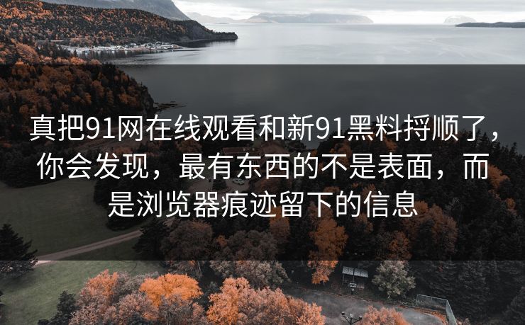 真把91网在线观看和新91黑料捋顺了，你会发现，最有东西的不是表面，而是浏览器痕迹留下的信息