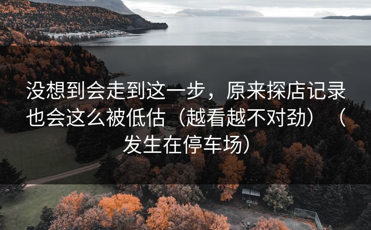 没想到会走到这一步，原来探店记录也会这么被低估（越看越不对劲）（发生在停车场）
